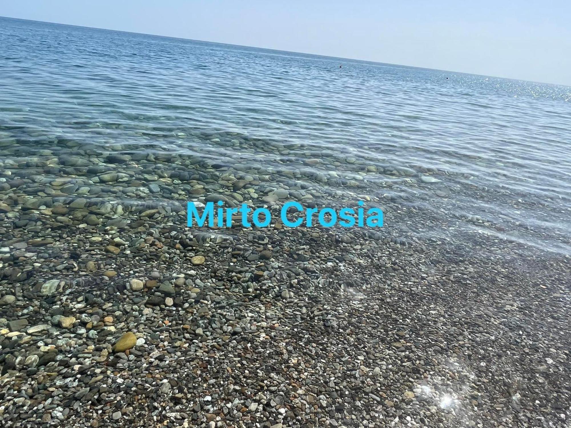 Terry Mirto (Cosenza)